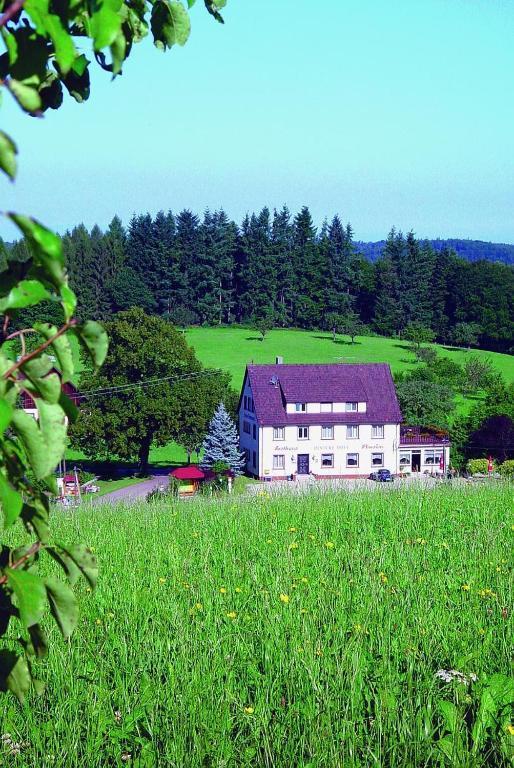 Gasthaus Und Pension Hintere Hofe Freiamt Ngoại thất bức ảnh